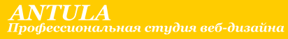 студия веб-дизайна