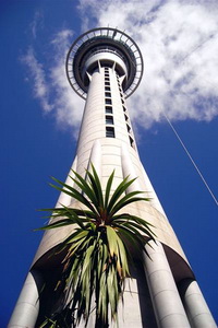 Sky Tower (Auckland) - самое высокое здание в Новой Зеландии на начало 2009 года