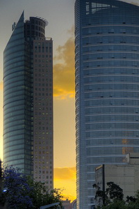 Torre Mayor -       2009 