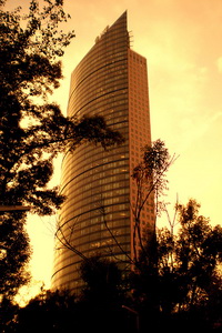 Torre Mayor -       2009 