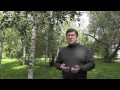Как раскрутить сайт по катерам и яхтам