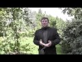 Аренда катеров и яхт через Интернет